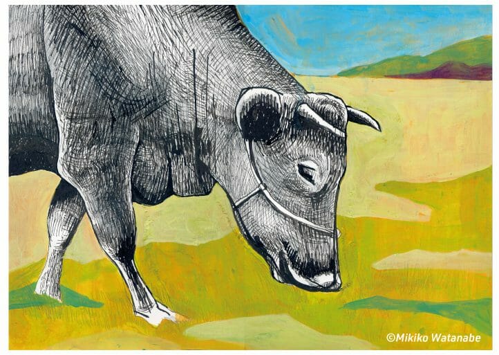 草千里にいる牛のイラスト 熊本のイラストレーター わたなべみきこ