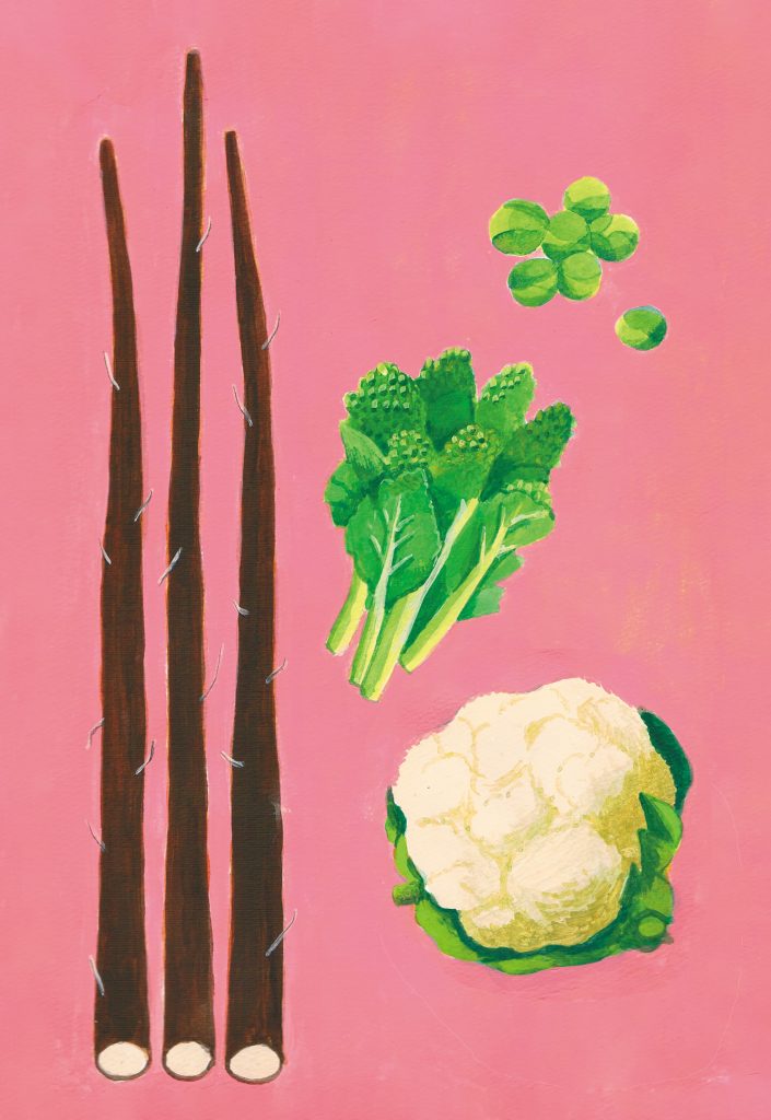 冬野菜 春野菜のイラスト 熊本のイラストレーター わたなべみきこ