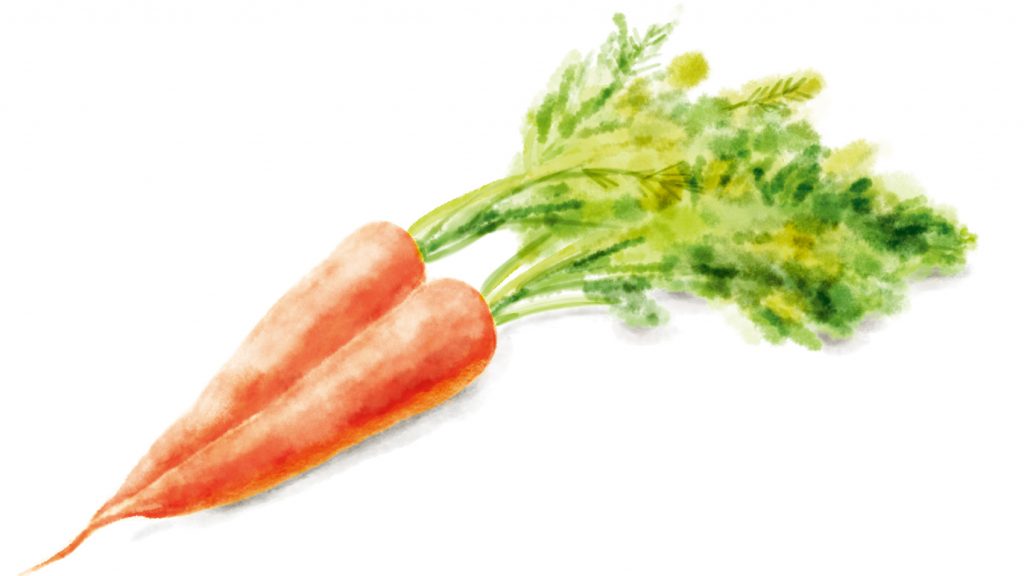 にんじん 野菜 食べ物 食品 フードイラスト 熊本のイラストレーターわたなべみきこ
