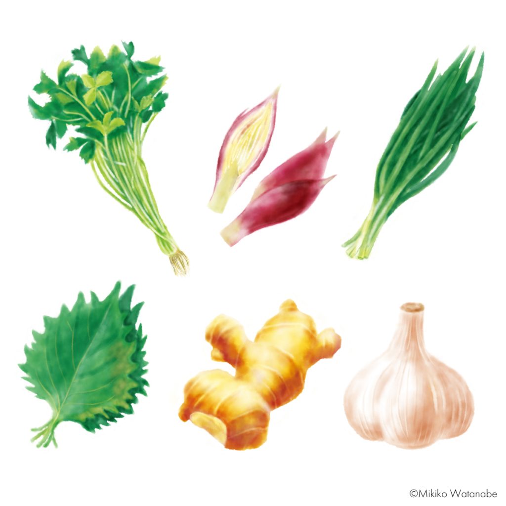 薬味・香味野菜のイラスト