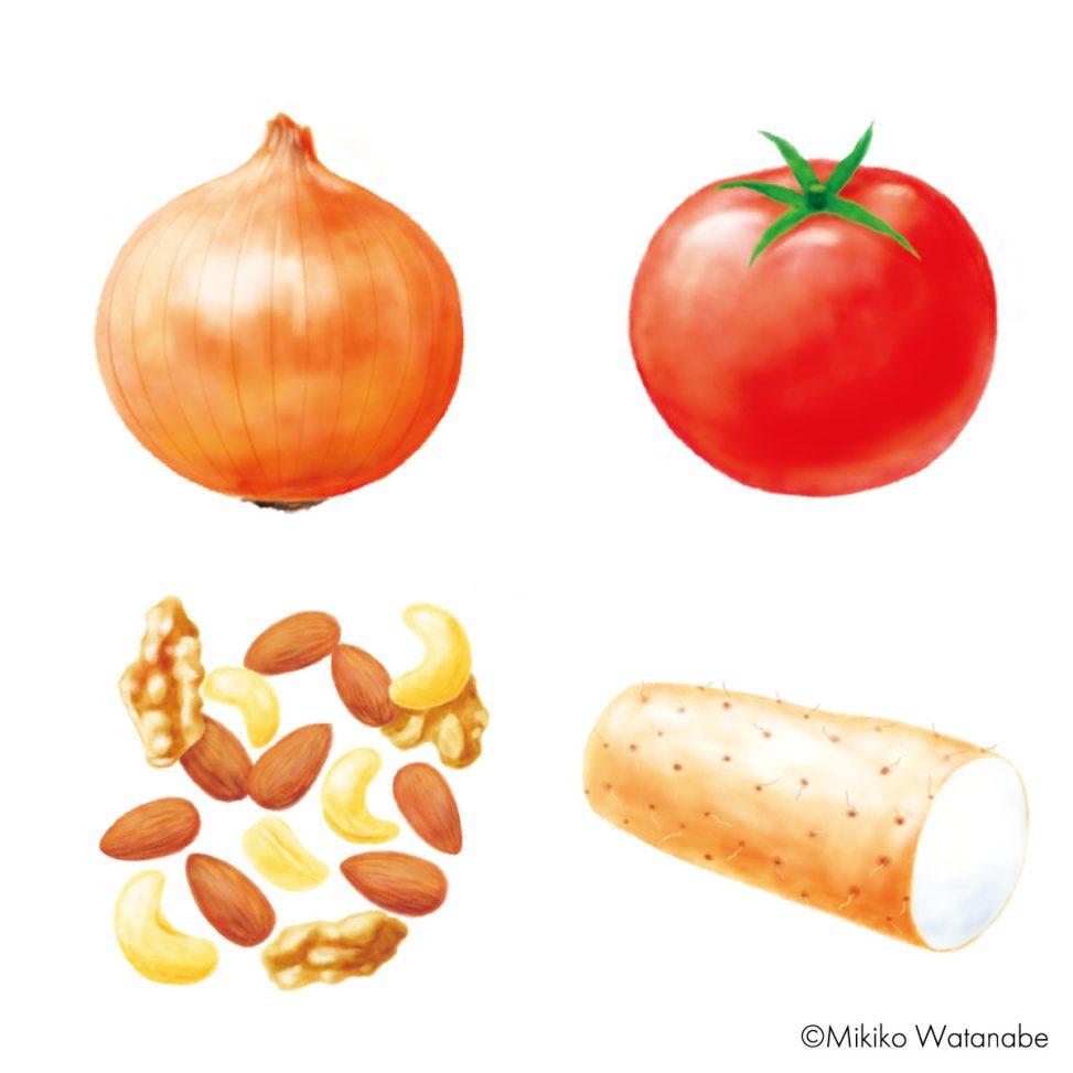玉ねぎ、トマト、ナッツ、長芋のイラスト