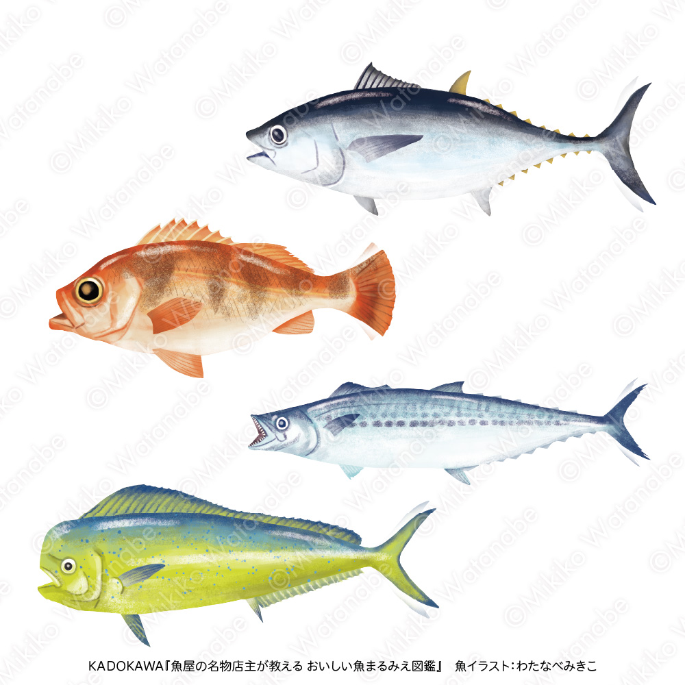 まぐろ