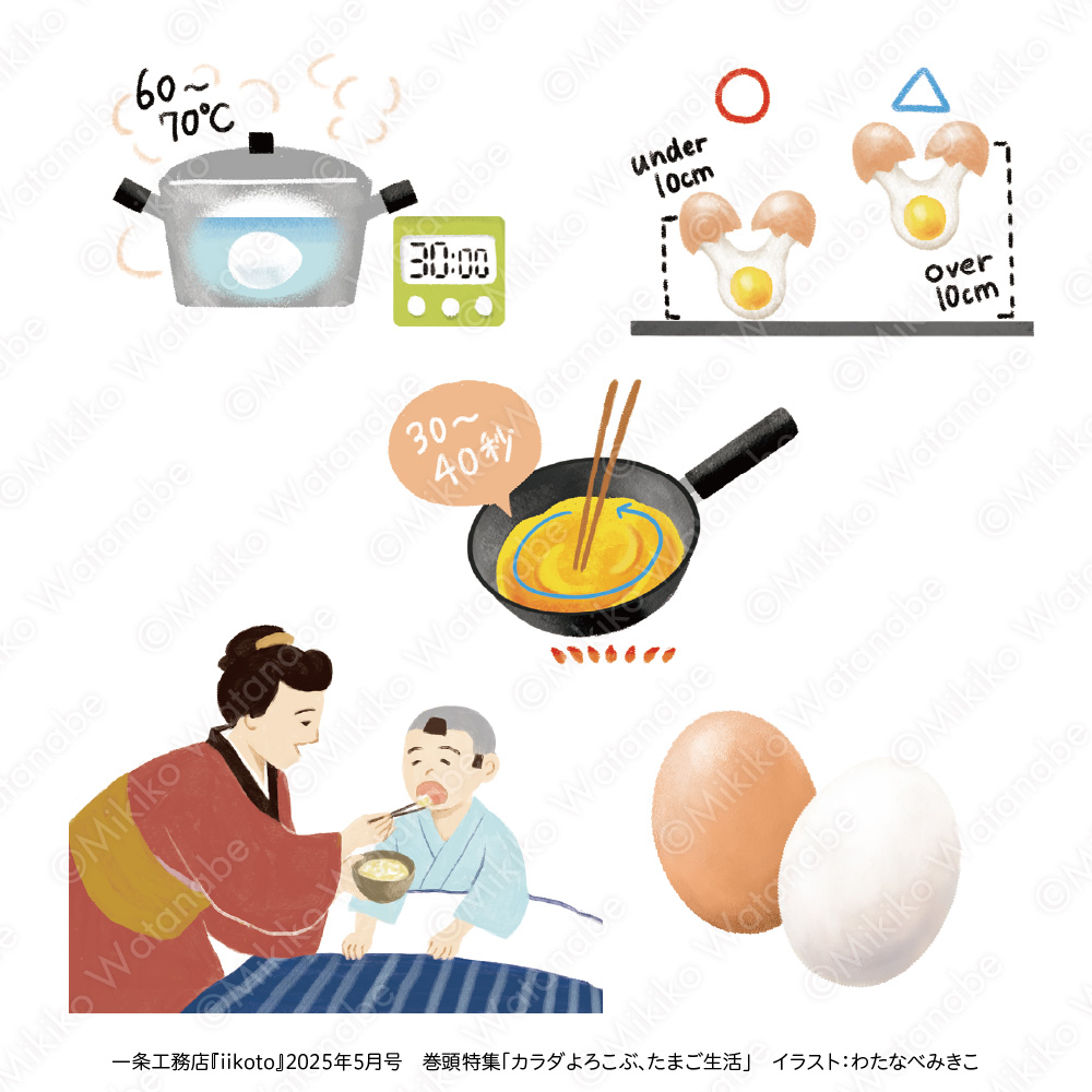 たまごのイラスト