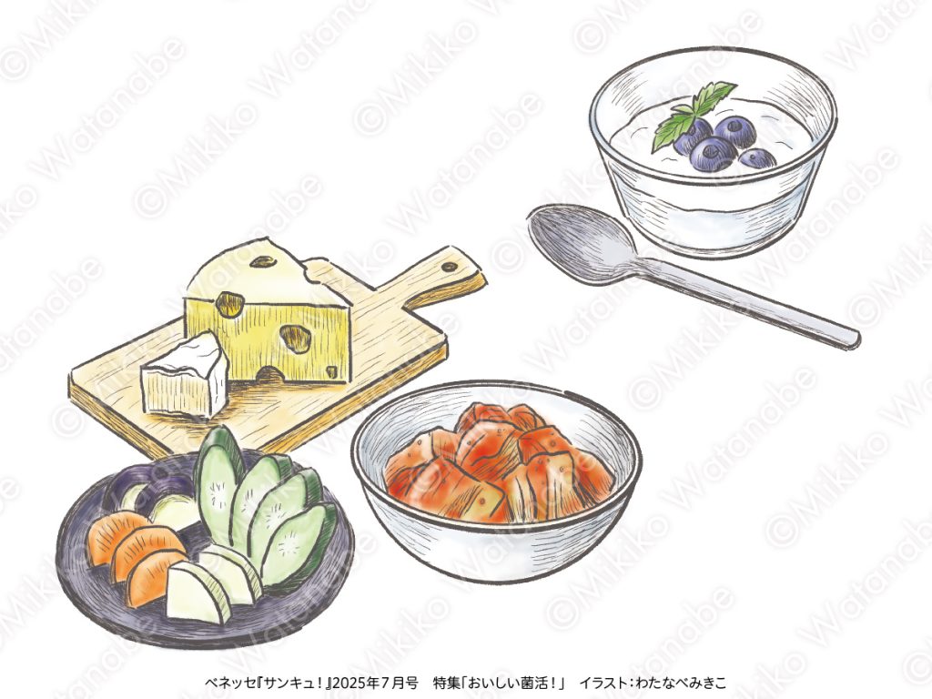 ヨーグルト、キムチ、ぬか漬け、チーズ、発酵食品のイラスト