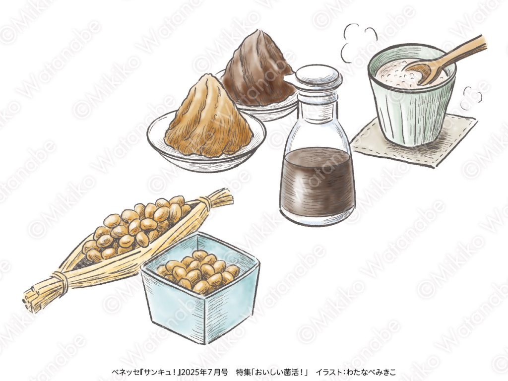 納豆、味噌、醤油、甘酒のイラスト