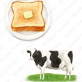 バタートースト、乳牛のイラスト
