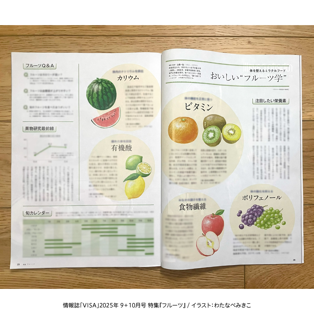 VISA誌面