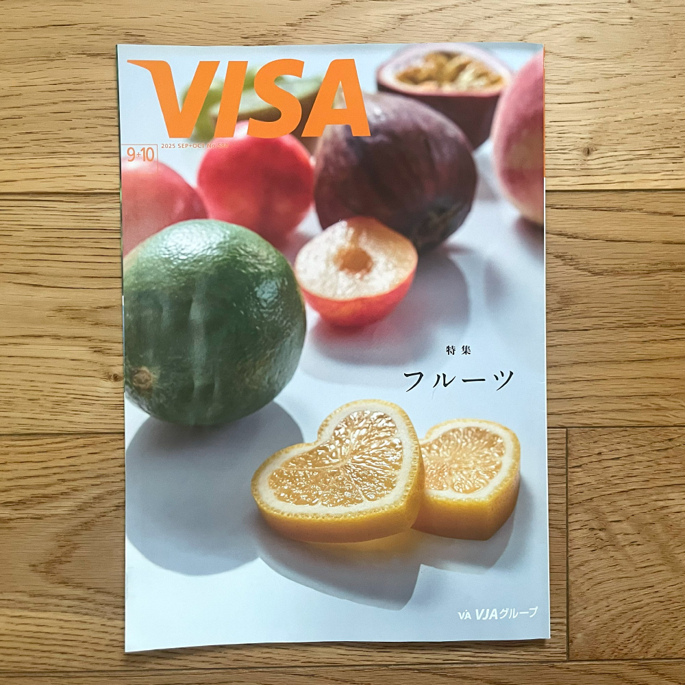 VISA表紙