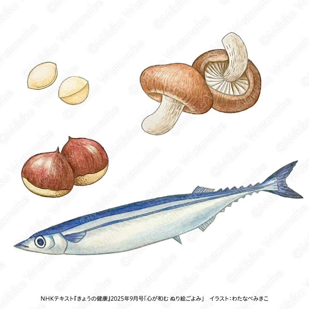 さんま、きのこ、栗、銀杏の色鉛筆イラスト
