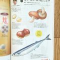 サンマ、栗、しいたけ、秋の食材の色鉛筆ぬりえ