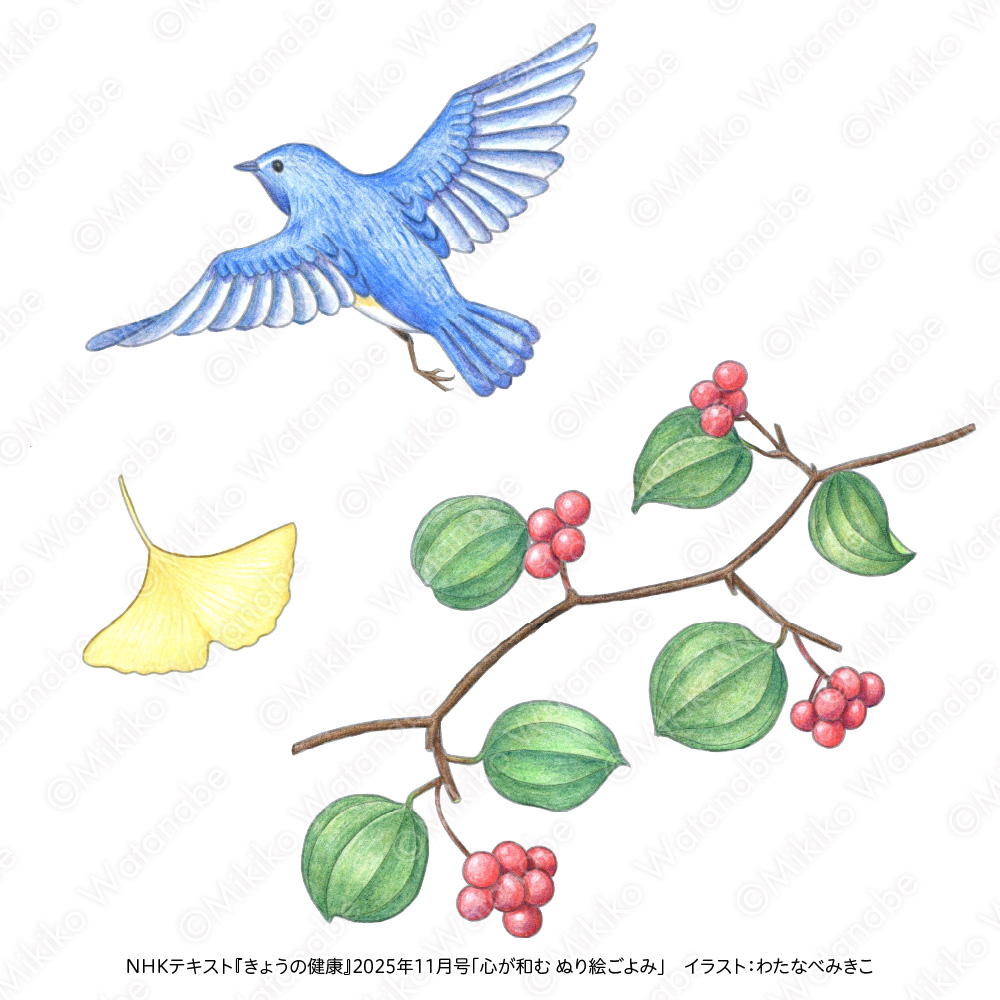 色鉛筆の鳥・植物イラスト