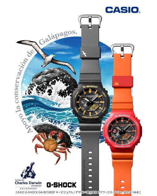 カニと鳥と海のイラスト